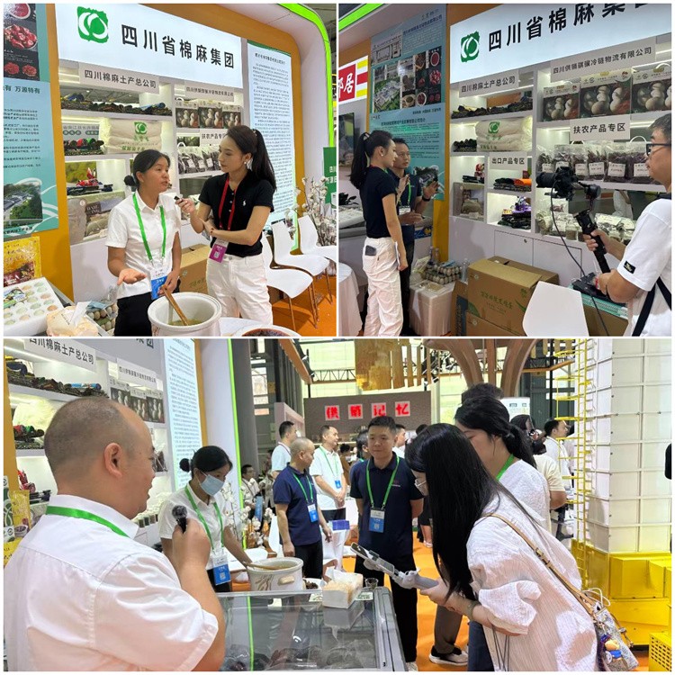 1757054704154141.jpg 下載(1).jpg